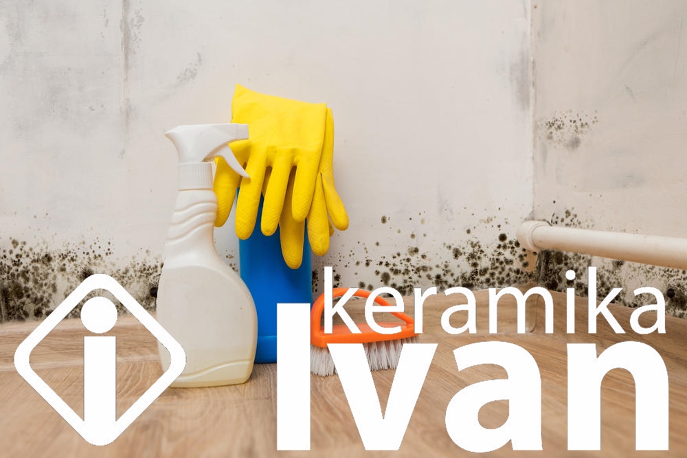 Sve što vam je potrebno da se rešite vlage i buđi !